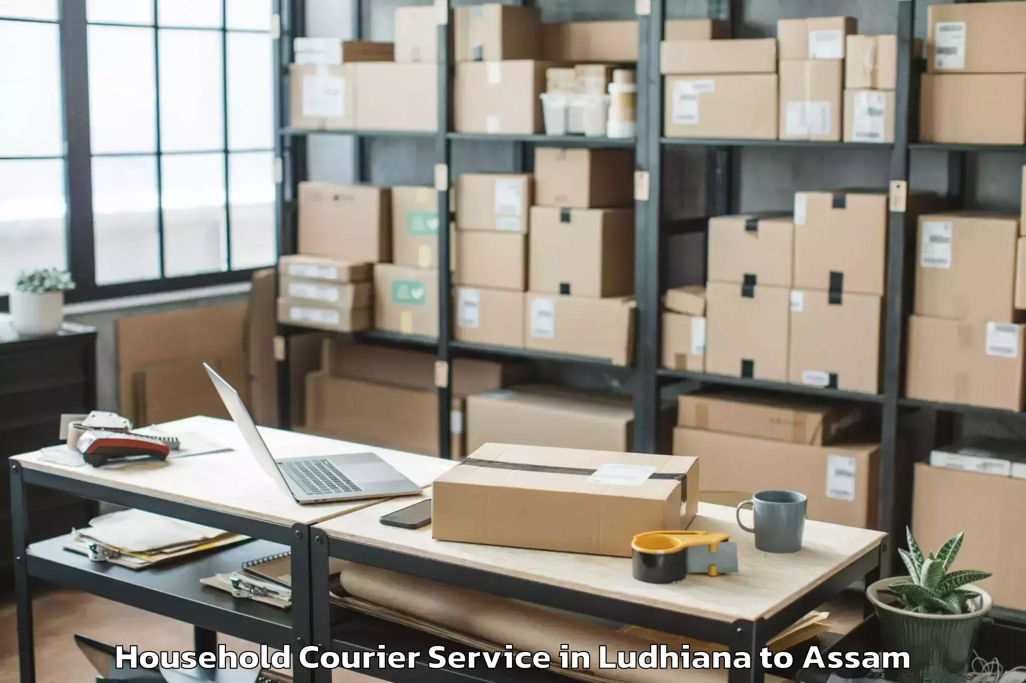 Expert Ludhiana to Salonibari Airport Tez Household Courier